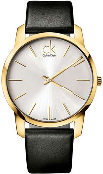 Часы Calvin Klein ck City K2G215.20